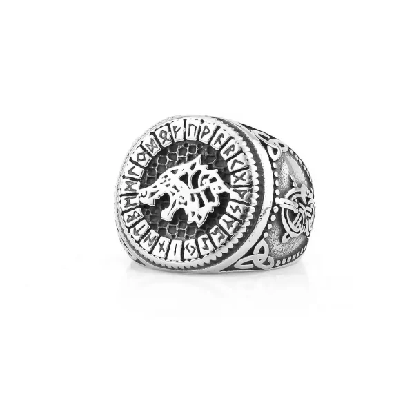 Titan Ring – Bild 2